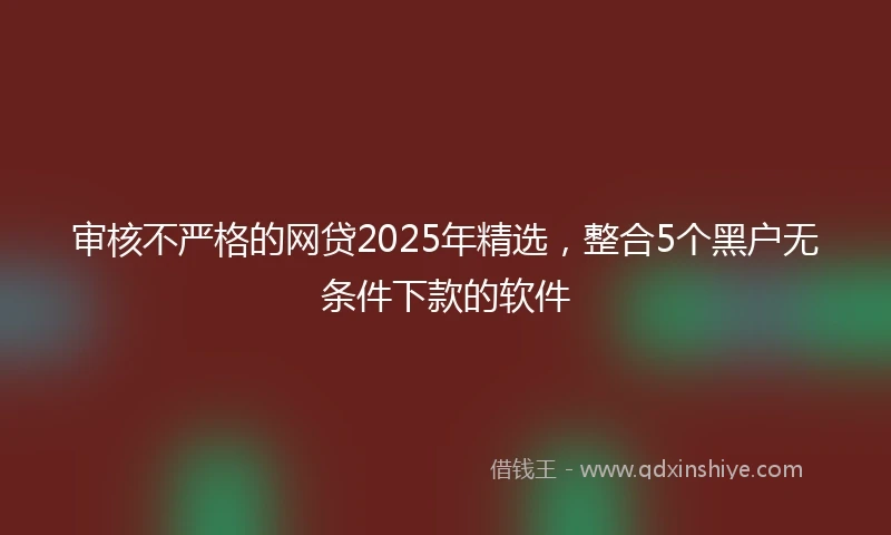审核不严格的网贷2025年精选,整合5个黑户无条件下款的软件