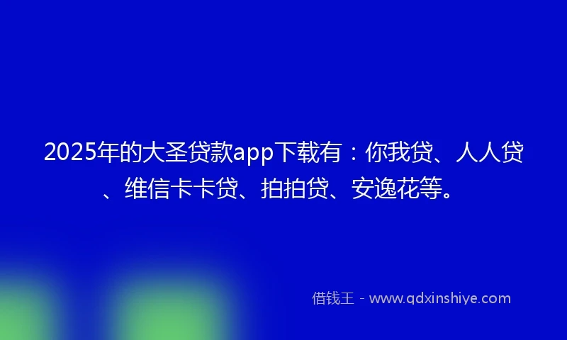 2025年的大圣贷款app下载有：你我贷、人人贷、维信卡卡贷、拍拍贷、安逸花等。