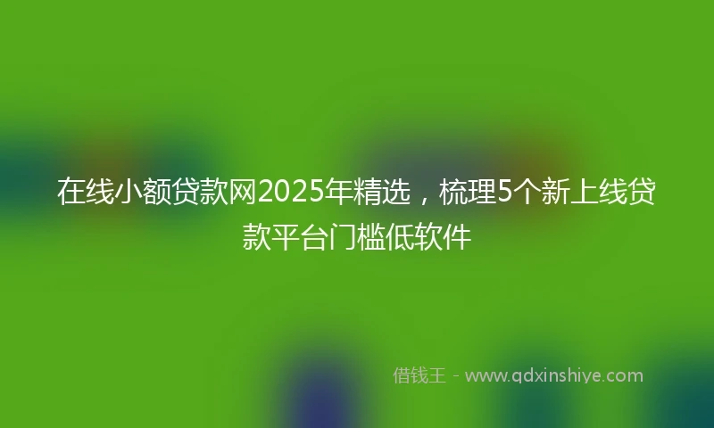 在线小额贷款网2025年精选，梳理5个新上线贷款平台门槛低软件