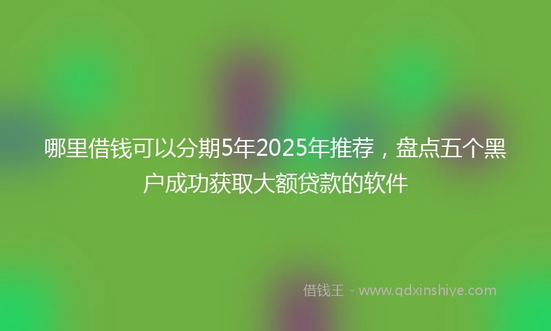 哪里借钱可以分期5年2025年推荐，盘点五个黑户成功获取大额贷款的软件