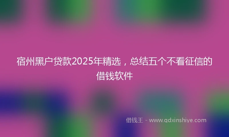 宿州黑户贷款2025年精选，总结五个不看征信的借钱软件