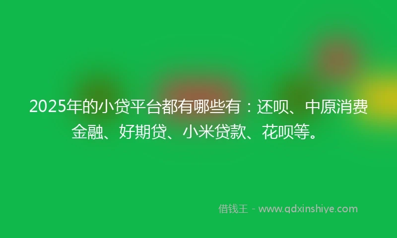 2025年的小贷平台都有哪些有：还呗、中原消费金融、好期贷、小米贷款、花呗等。