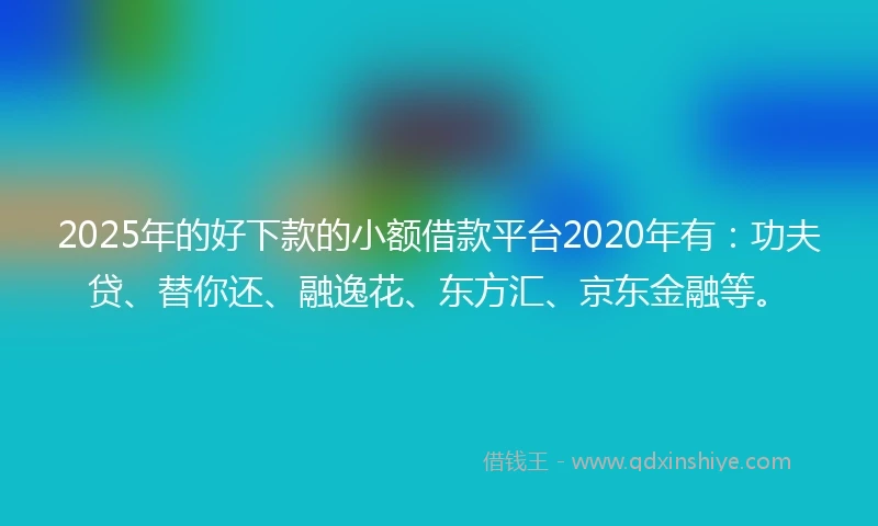 2025年的好下款的小额借款平台2020年有:功夫贷、替你还、融逸花、东方汇、京东金融等。
