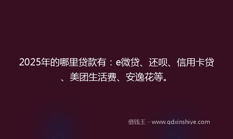 2025年的哪里贷款有：e微贷、还呗、信用卡贷、美团生活费、安逸花等。