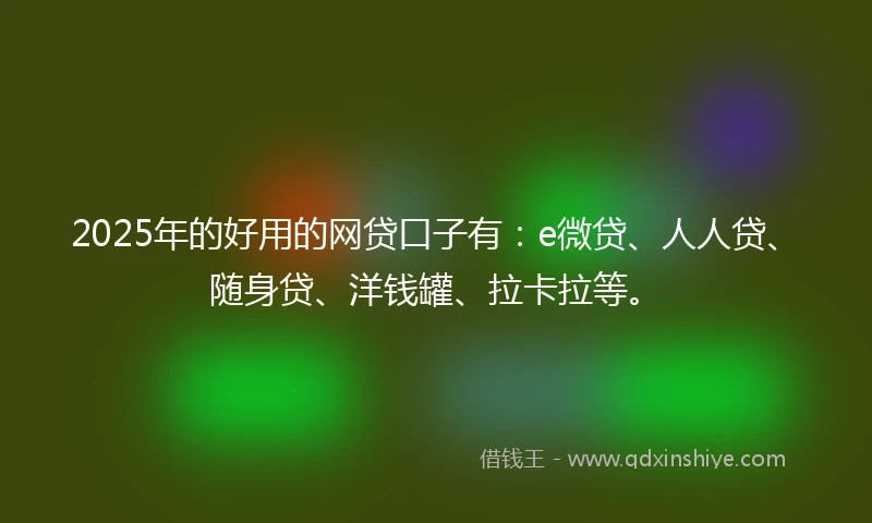2025年的好用的网贷口子有：e微贷、人人贷、随身贷、洋钱罐、拉卡拉等。