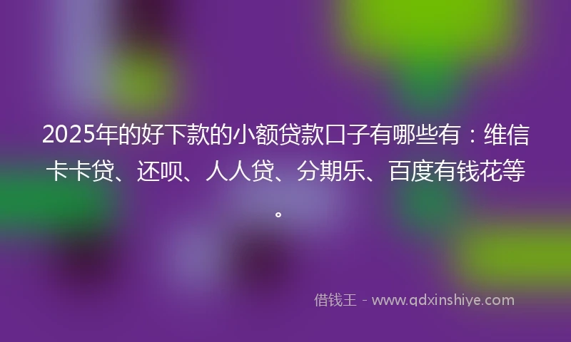 2025年的好下款的小额贷款口子有哪些有：维信卡卡贷、还呗、人人贷、分期乐、百度有钱花等。