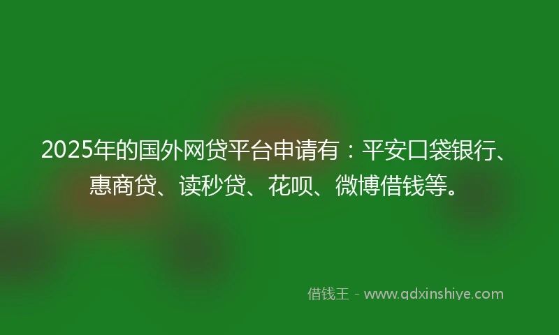 2025年的国外网贷平台申请有：平安口袋银行、惠商贷、读秒贷、花呗、微博借钱等。