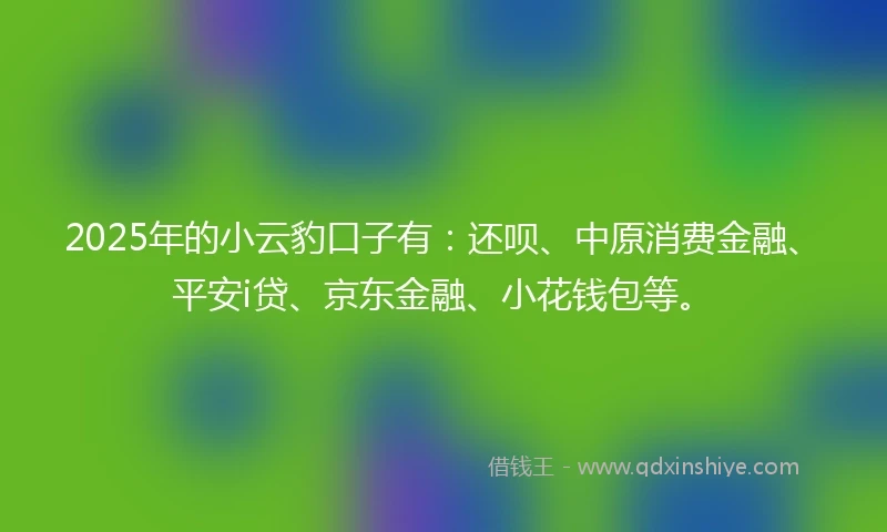 2025年的小云豹口子有：还呗、中原消费金融、平安i贷、京东金融、小花钱包等。