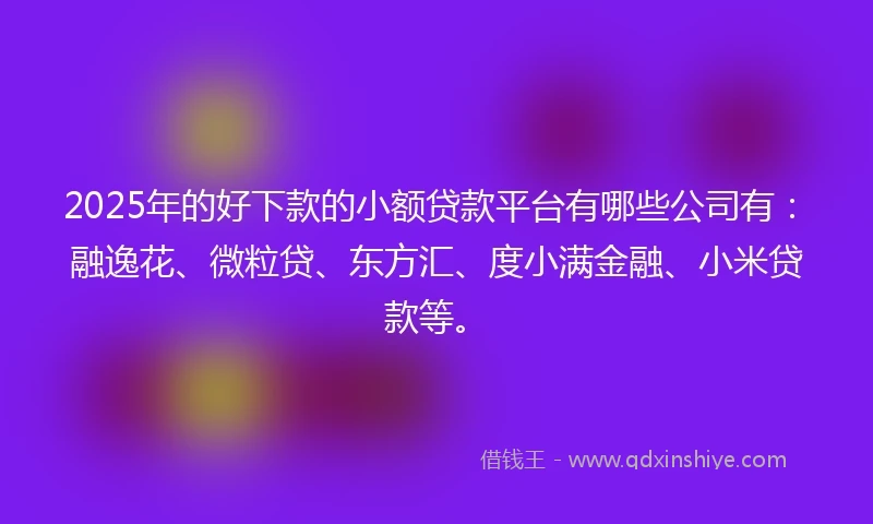2025年的好下款的小额贷款平台有哪些公司有：融逸花、微粒贷、东方汇、度小满金融、小米贷款等。