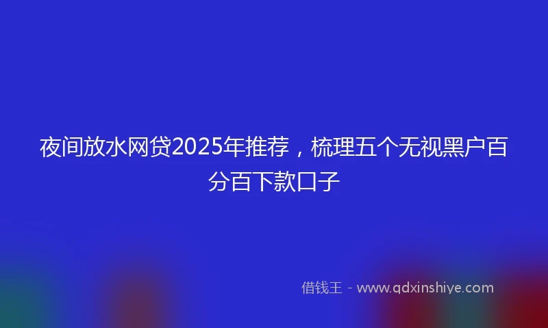 夜间放水网贷2025年推荐，梳理五个无视黑户百分百下款口子