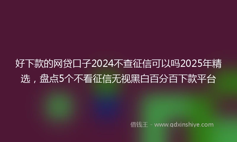 好下款的网贷口子2024不查征信可以吗2025年精选，盘点5个不看征信无视黑白百分百下款平台