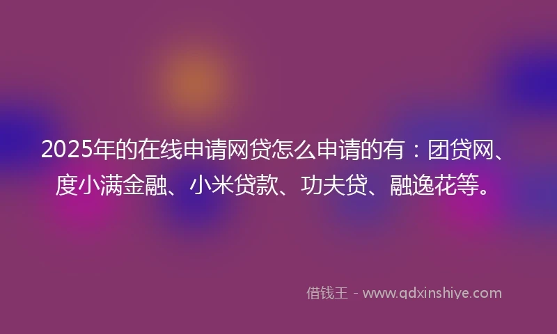 2025年的在线申请网贷怎么申请的有：团贷网、度小满金融、小米贷款、功夫贷、融逸花等。