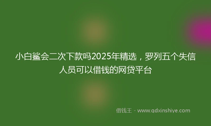 小白鲨会二次下款吗2025年精选，罗列五个失信人员可以借钱的网贷平台