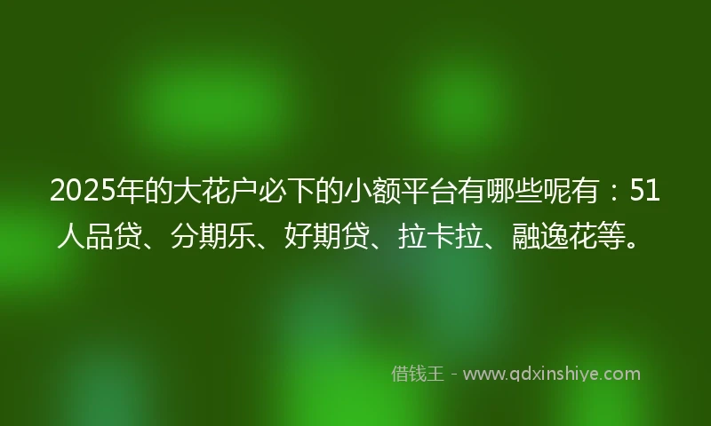 2025年的大花户必下的小额平台有哪些呢有:51人品贷、分期乐、好期贷、拉卡拉、融逸花等。