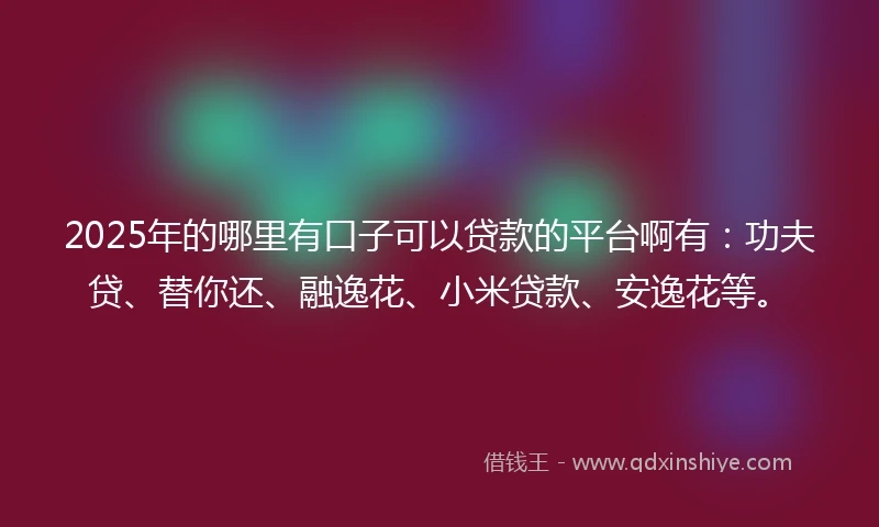 2025年的哪里有口子可以贷款的平台啊有：功夫贷、替你还、融逸花、小米贷款、安逸花等。