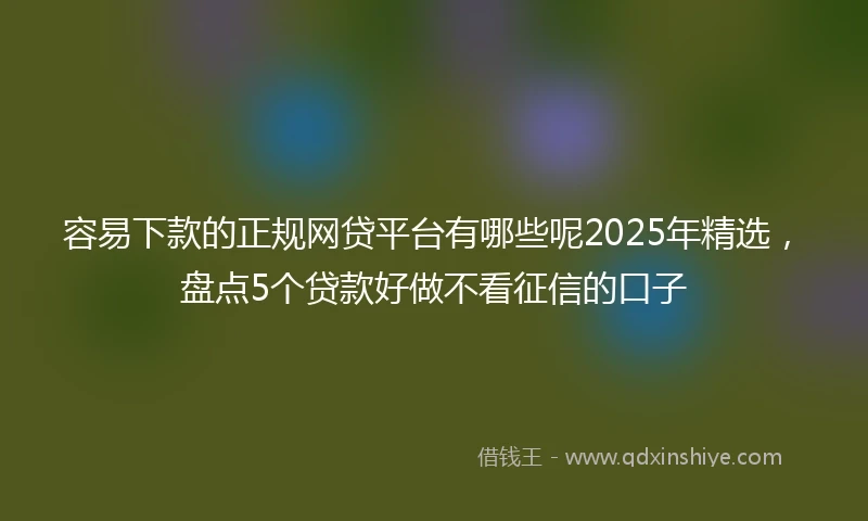 容易下款的正规网贷平台有哪些呢2025年精选，盘点5个贷款好做不看征信的口子