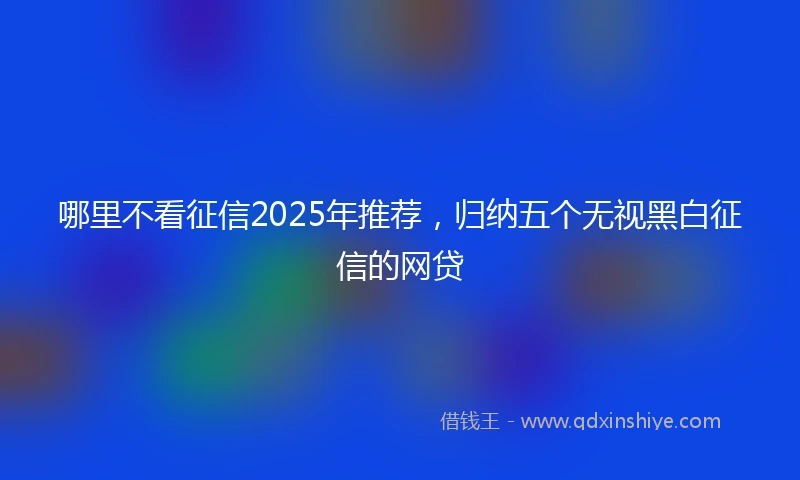 哪里不看征信2025年推荐，归纳五个无视黑白征信的网贷
