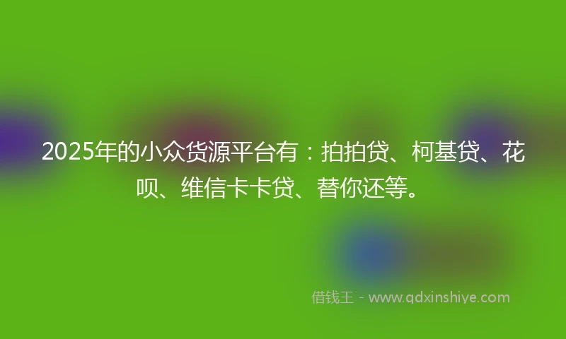 2025年的小众货源平台有：拍拍贷、柯基贷、花呗、维信卡卡贷、替你还等。