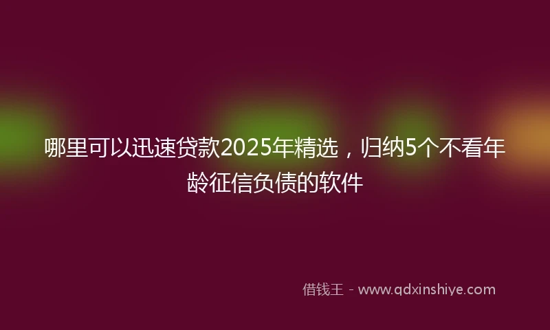 哪里可以迅速贷款2025年精选，归纳5个不看年龄征信负债的软件