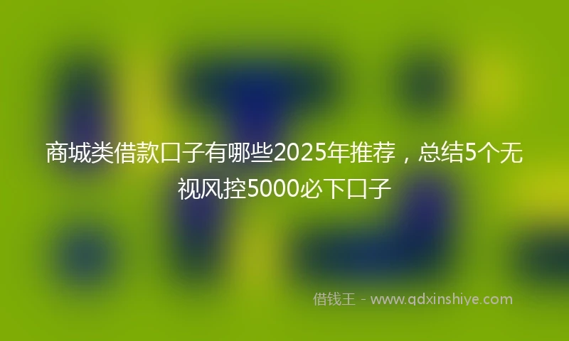 商城类借款口子有哪些2025年推荐，总结5个无视风控5000必下口子