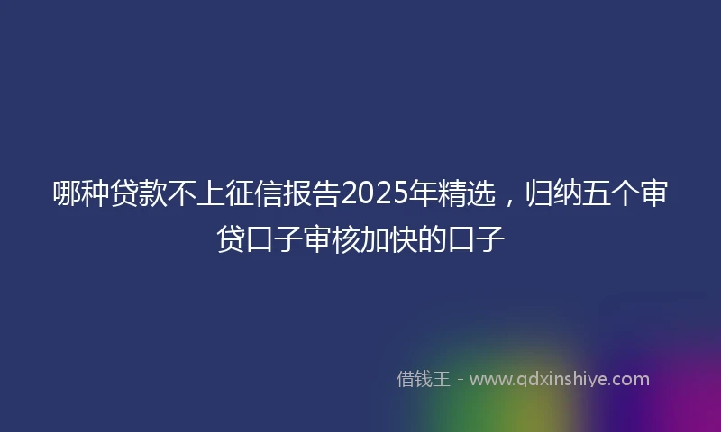 哪种贷款不上征信报告2025年精选，归纳五个审贷口子审核加快的口子