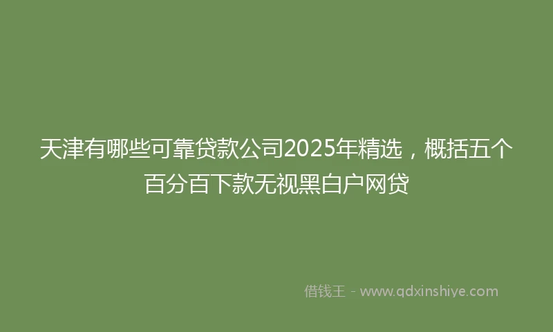天津有哪些可靠贷款公司2025年精选，概括五个百分百下款无视黑白户网贷
