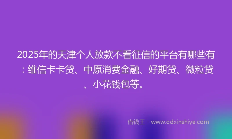 2025年的天津个人放款不看征信的平台有哪些有：维信卡卡贷、中原消费金融、好期贷、微粒贷、小花钱包等。