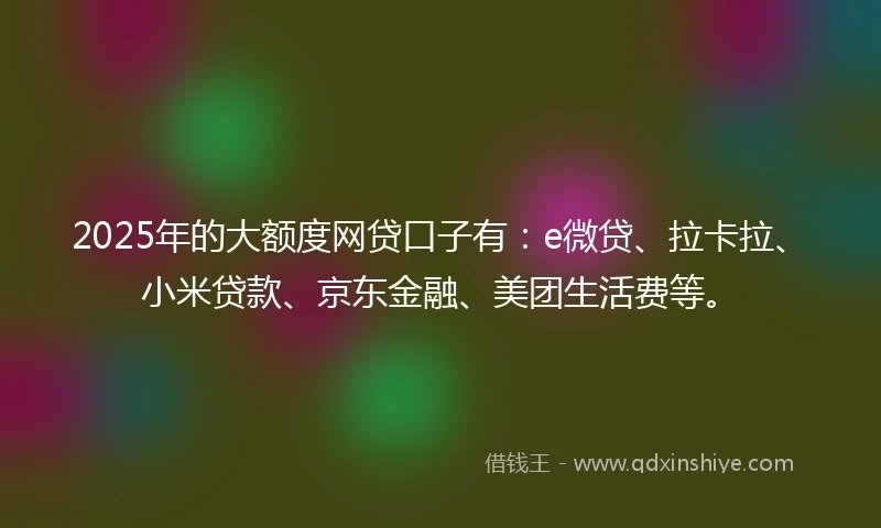 2025年的大额度网贷口子有：e微贷、拉卡拉、小米贷款、京东金融、美团生活费等。