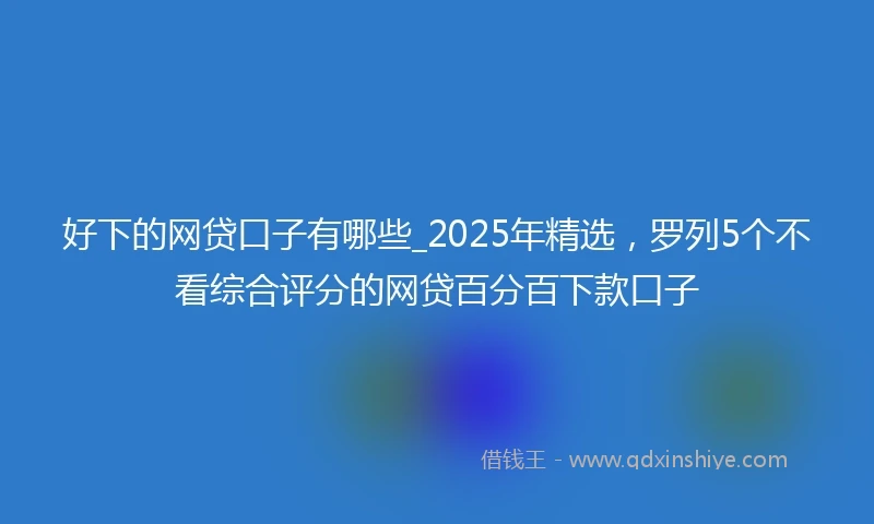 好下的网贷口子有哪些_2025年精选，罗列5个不看综合评分的网贷百分百下款口子