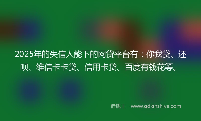 2025年的失信人能下的网贷平台有：你我贷、还呗、维信卡卡贷、信用卡贷、百度有钱花等。