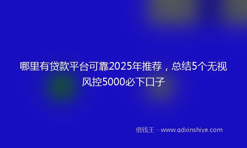 哪里有贷款平台可靠2025年推荐，总结5个无视风控5000必下口子