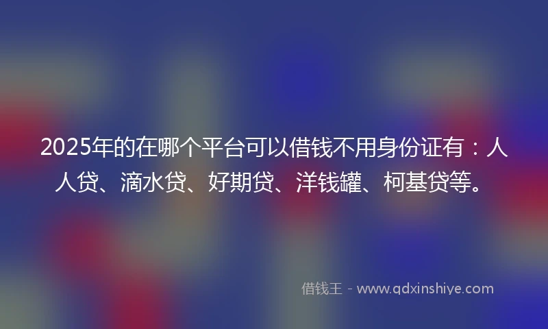 2025年的在哪个平台可以借钱不用身份证有：人人贷、滴水贷、好期贷、洋钱罐、柯基贷等。