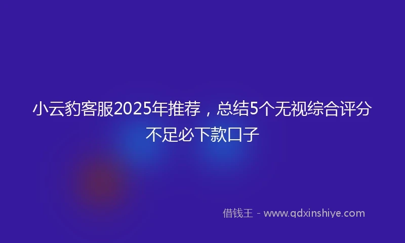 小云豹客服2025年推荐，总结5个无视综合评分不足必下款口子