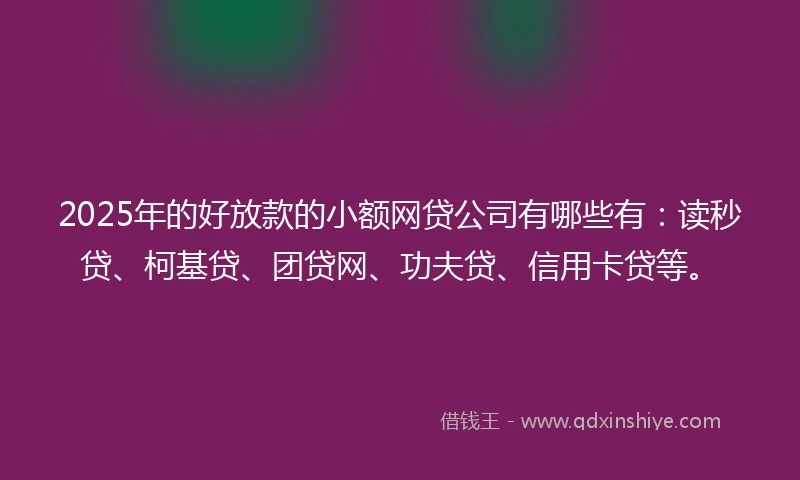 2025年的好放款的小额网贷公司有哪些有：读秒贷、柯基贷、团贷网、功夫贷、信用卡贷等。
