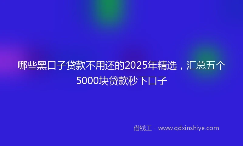 哪些黑口子贷款不用还的2025年精选，汇总五个5000块贷款秒下口子