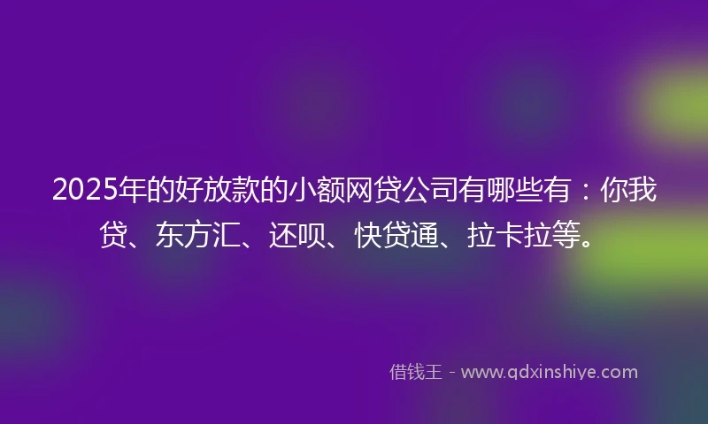 2025年的好放款的小额网贷公司有哪些有：你我贷、东方汇、还呗、快贷通、拉卡拉等。