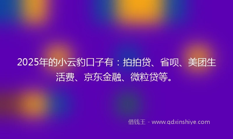 2025年的小云豹口子有：拍拍贷、省呗、美团生活费、京东金融、微粒贷等。