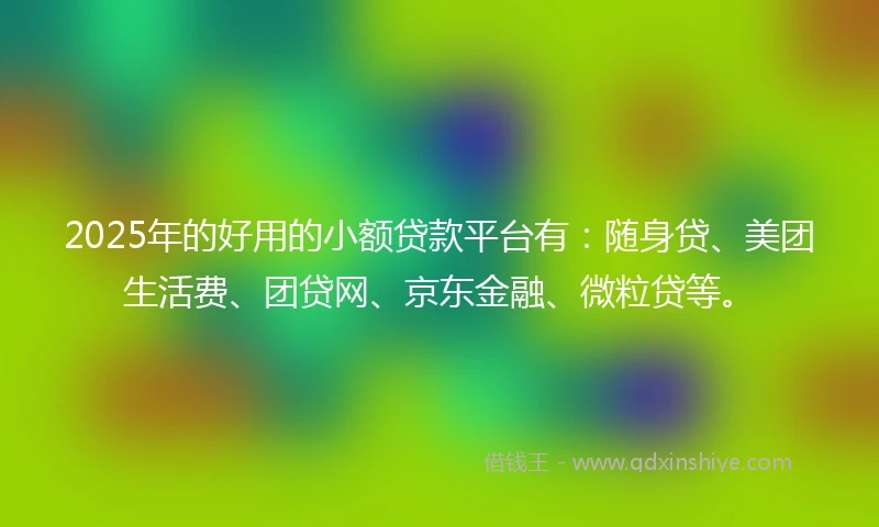 2025年的好用的小额贷款平台有：随身贷、美团生活费、团贷网、京东金融、微粒贷等。