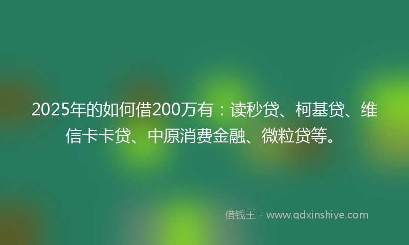 2025年的如何借200万有:读秒贷、柯基贷、维信卡卡贷、中原消费金融、微粒贷等。