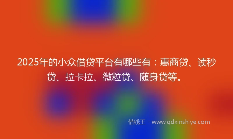 2025年的小众借贷平台有哪些有：惠商贷、读秒贷、拉卡拉、微粒贷、随身贷等。