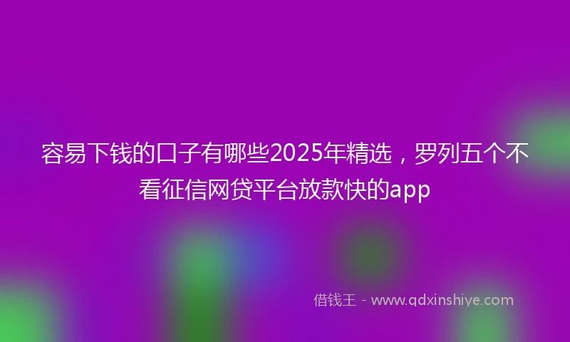容易下钱的口子有哪些2025年精选，罗列五个不看征信网贷平台放款快的app