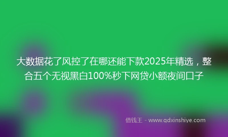 大数据花了风控了在哪还能下款2025年精选，整合五个无视黑白100%秒下网贷小额夜间口子