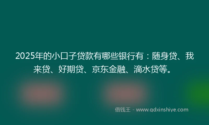 2025年的小口子贷款有哪些银行有：随身贷、我来贷、好期贷、京东金融、滴水贷等。