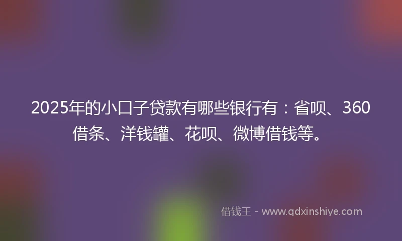 2025年的小口子贷款有哪些银行有：省呗、360借条、洋钱罐、花呗、微博借钱等。