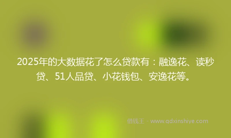 2025年的大数据花了怎么贷款有：融逸花、读秒贷、51人品贷、小花钱包、安逸花等。