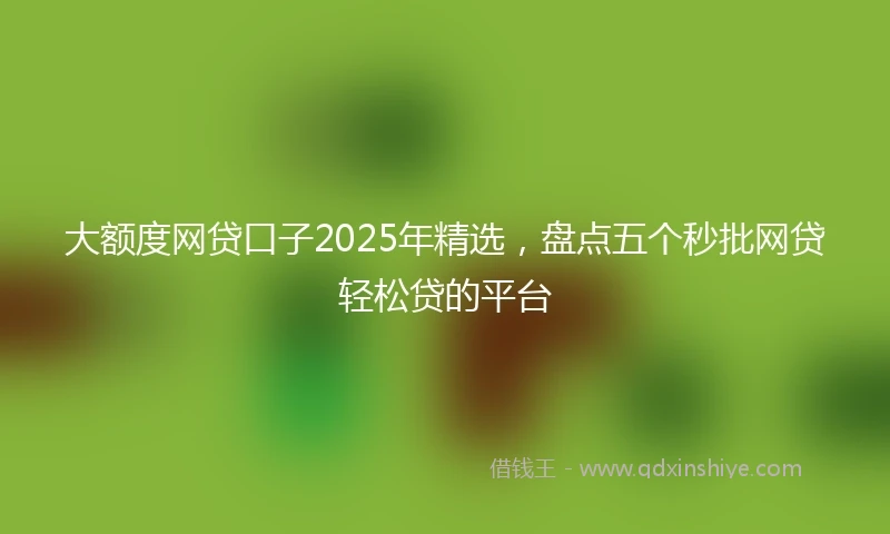 大额度网贷口子2025年精选，盘点五个秒批网贷轻松贷的平台