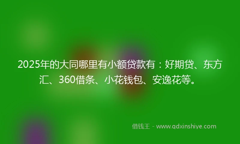 2025年的大同哪里有小额贷款有：好期贷、东方汇、360借条、小花钱包、安逸花等。