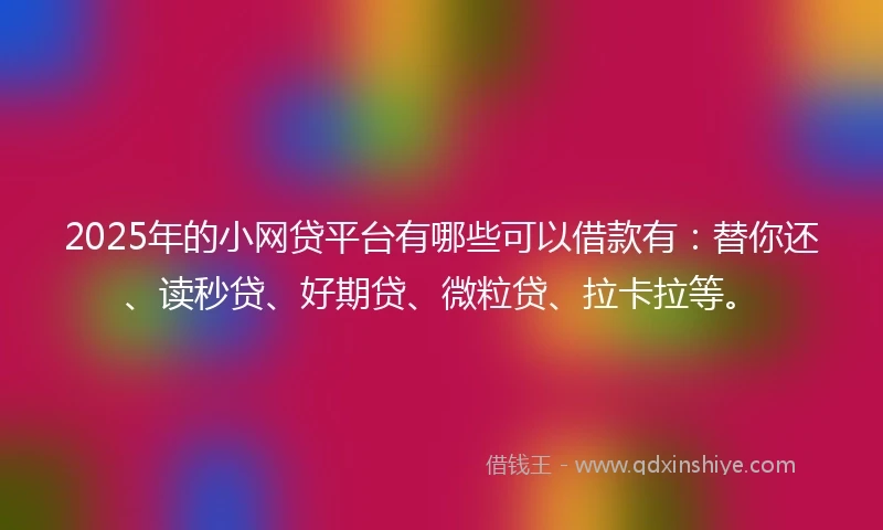 2025年的小网贷平台有哪些可以借款有：替你还、读秒贷、好期贷、微粒贷、拉卡拉等。