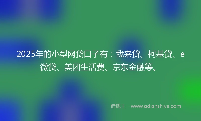2025年的小型网贷口子有：我来贷、柯基贷、e微贷、美团生活费、京东金融等。