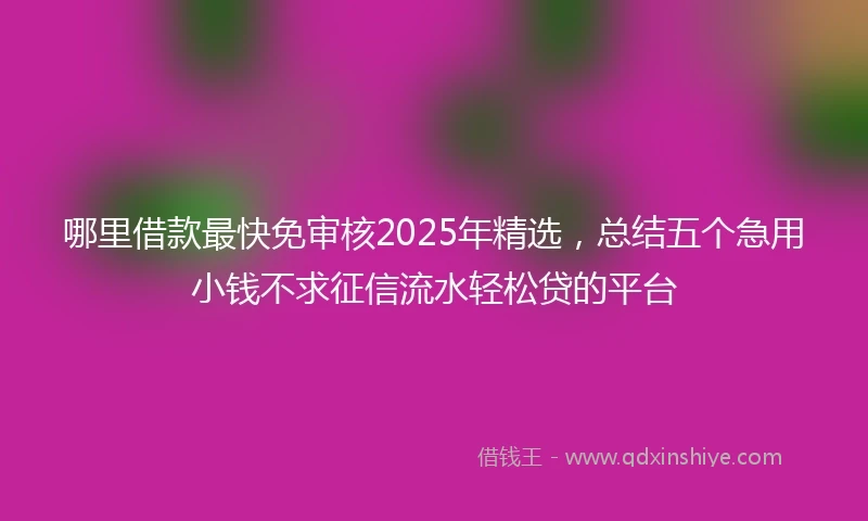 哪里借款最快免审核2025年精选，总结五个急用小钱不求征信流水轻松贷的平台